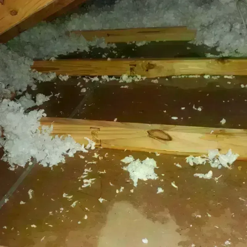 Attic Water Damage in Guilford, CT